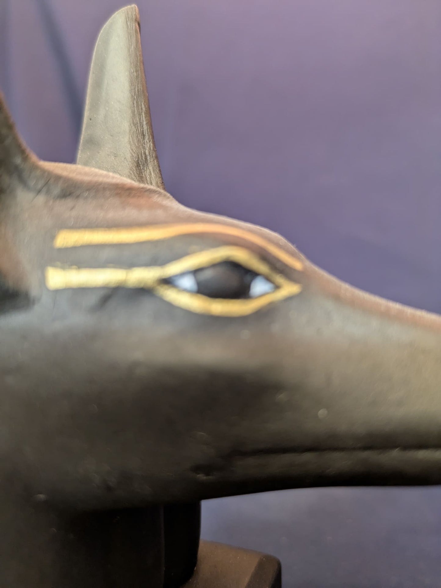 Anubis – Noir – vue D