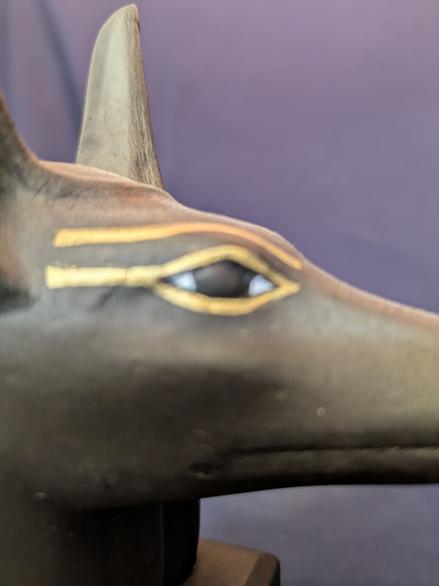 Anubis – Noir – vue D